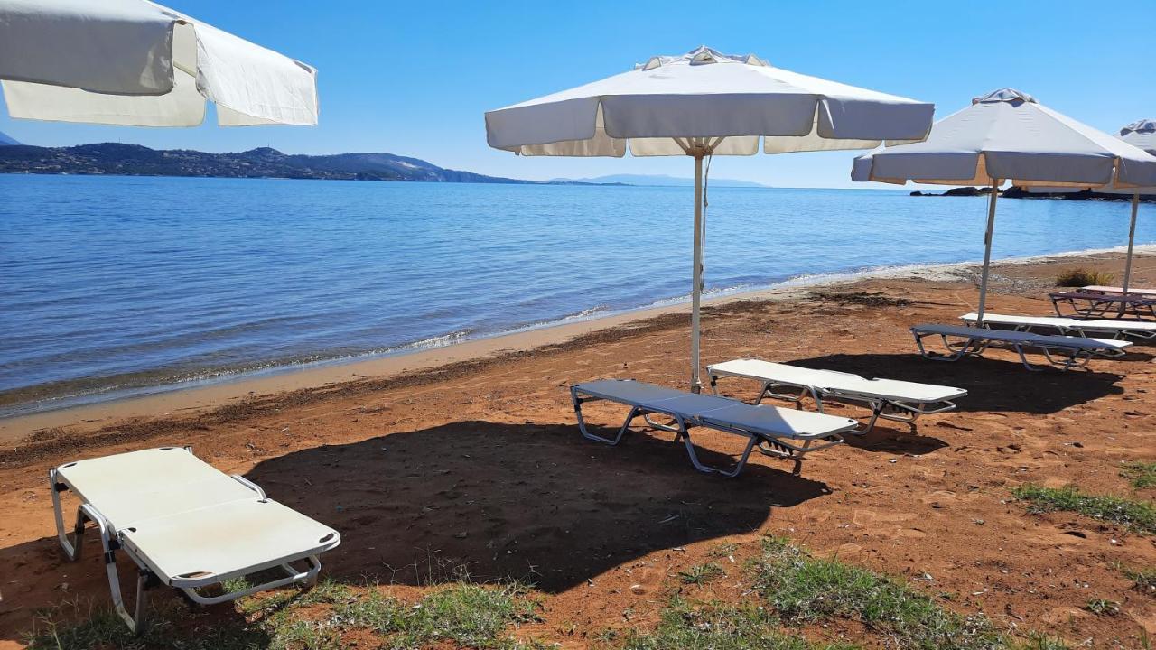 Alekos Beach Houses-Alekos Beach Complex ليكسوري المظهر الخارجي الصورة