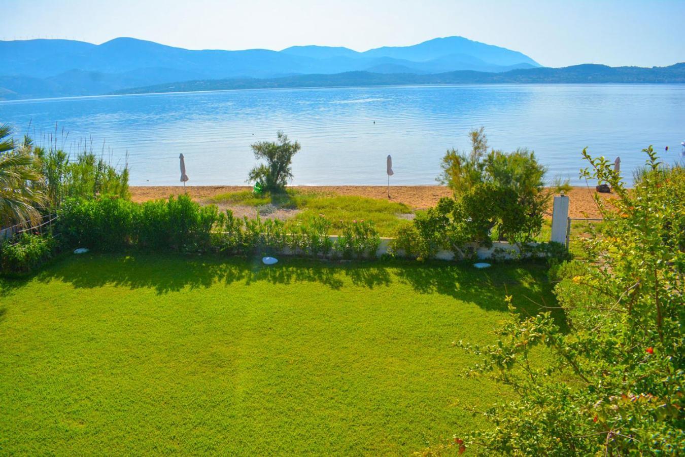 Alekos Beach Houses-Alekos Beach Complex ليكسوري المظهر الخارجي الصورة